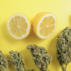 Buy Lemon Haze Online