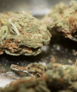 Buy Lemon Haze Online, Cannabis for sale in Europe, cannabis kaufen deutschland, vendita cannabis online, vente cannabis suisse, comprar Cannabis Espana